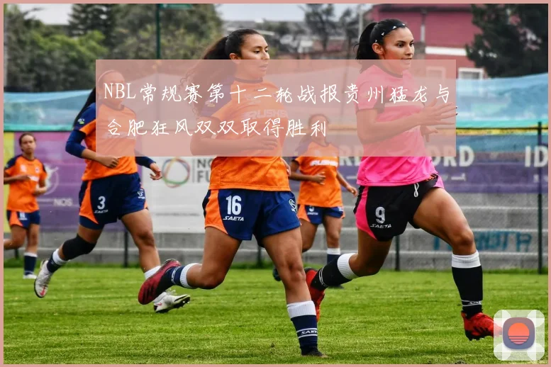 NBL常规赛第十二轮战报贵州猛龙与合肥狂风双双取得胜利