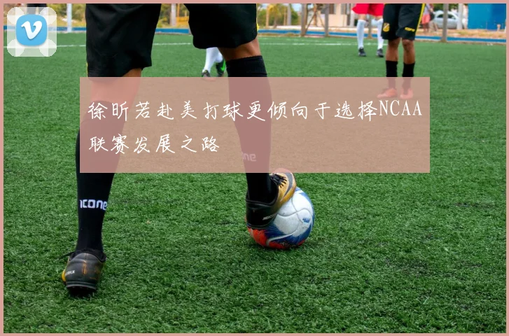 徐昕若赴美打球更倾向于选择NCAA联赛发展之路